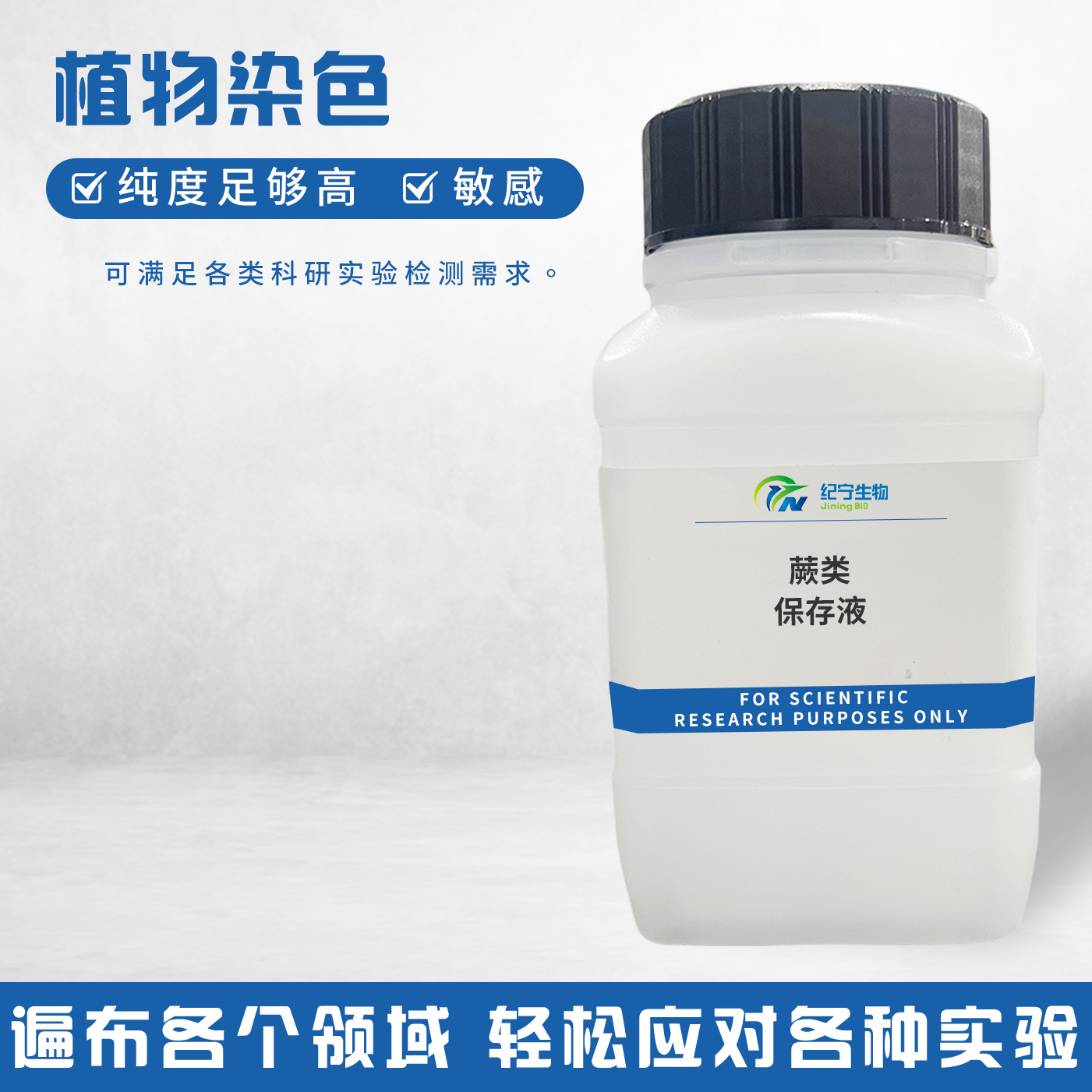 蕨類保存液