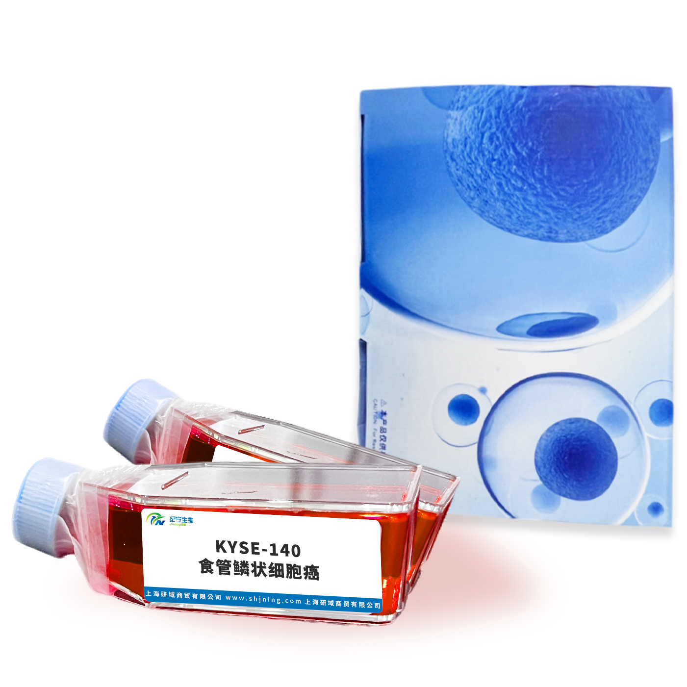 KYSE-140食管鱗狀細胞癌